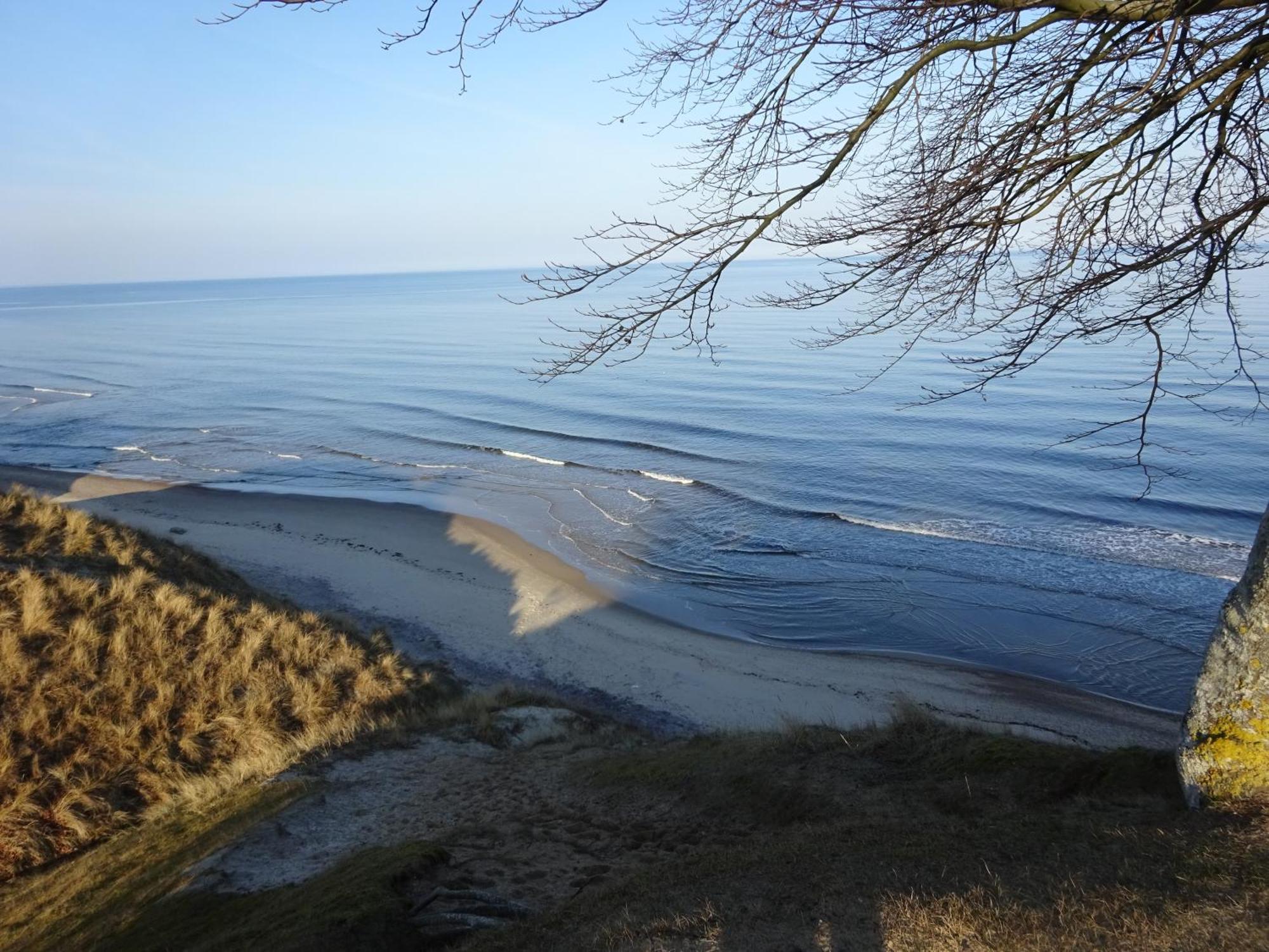 Solrosen I Simrishamn - Oesterlen מראה חיצוני תמונה