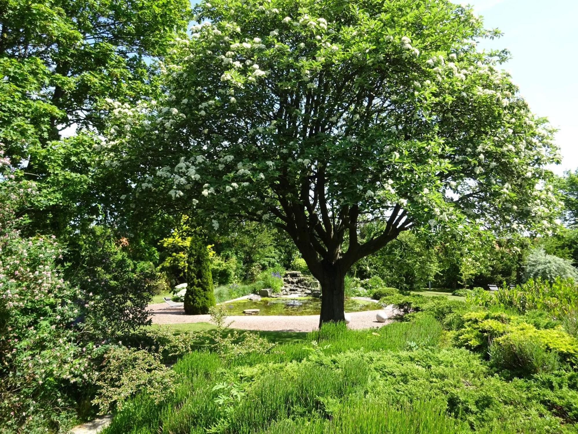 Solrosen I Simrishamn - Oesterlen מראה חיצוני תמונה